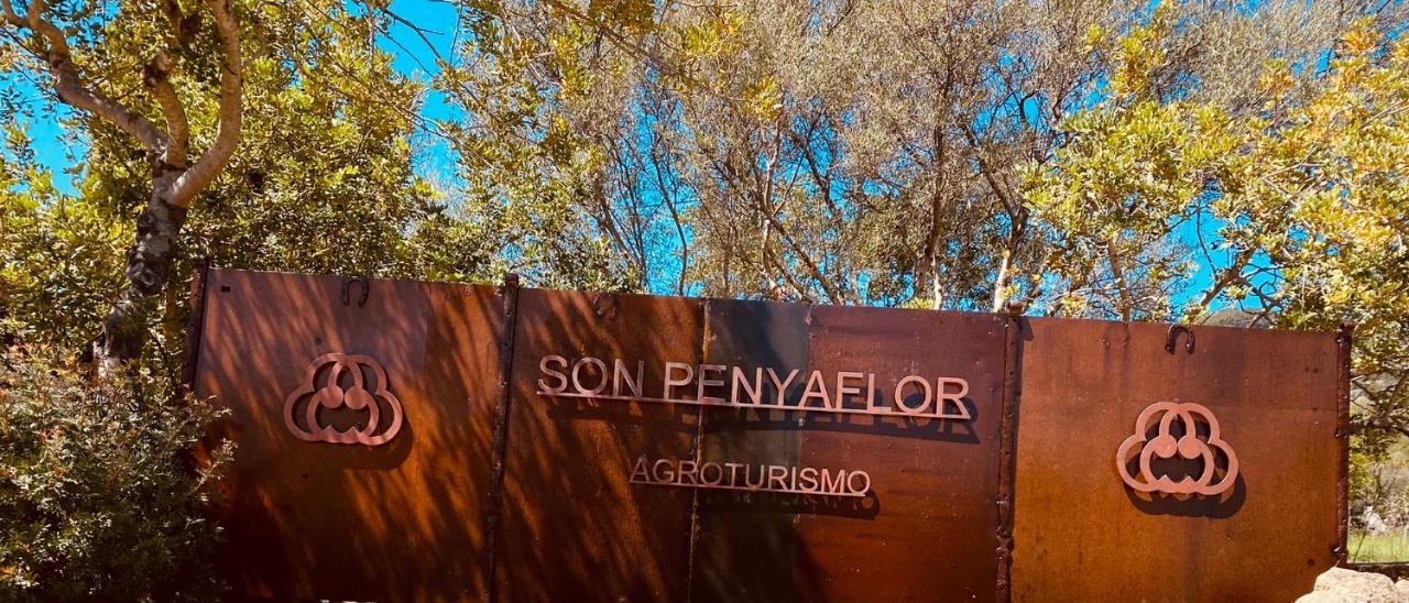 Agroturismo Son Penyaflor Pensionat Alaró Exteriör bild